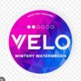 velo wintry watermelon